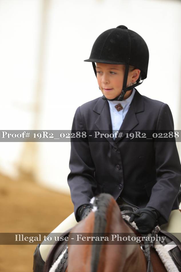 Proof Number 19R2_02288