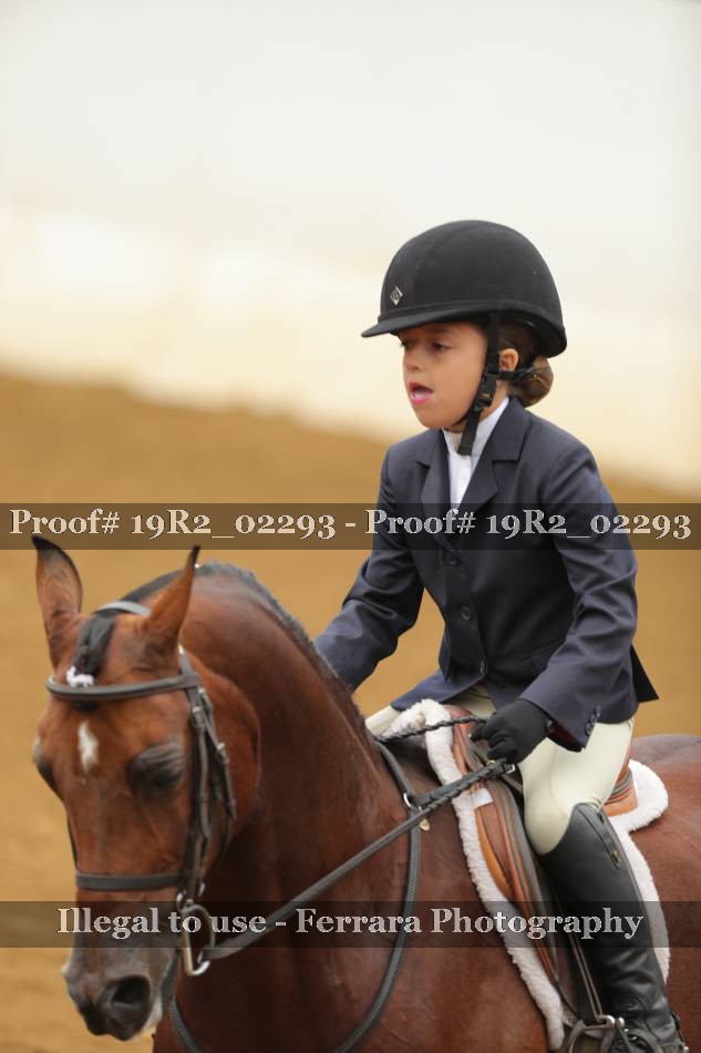 Proof Number 19R2_02293
