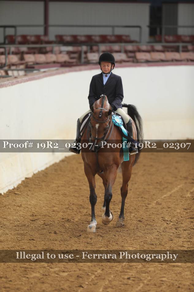 Proof Number 19R2_02307