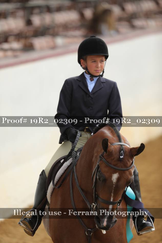 Proof Number 19R2_02309