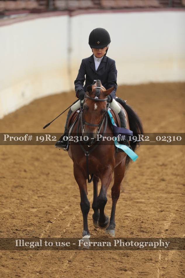 Proof Number 19R2_02310