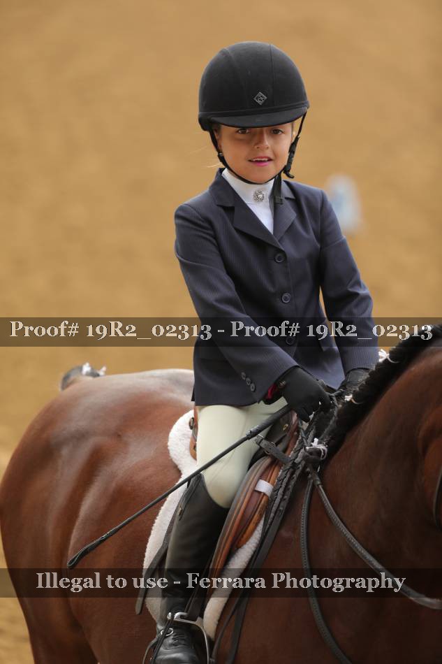 Proof Number 19R2_02313