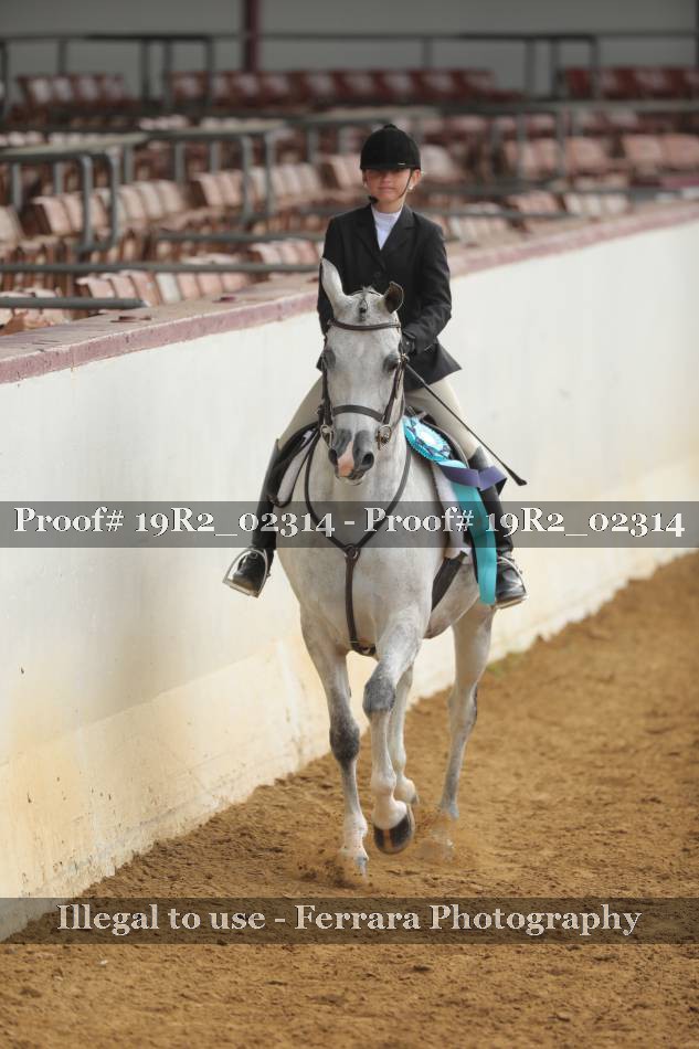 Proof Number 19R2_02314