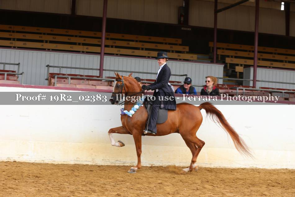 Proof Number 19R2_02383