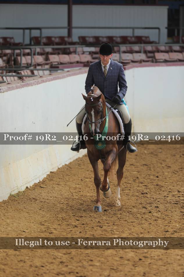 Proof Number 19R2_02416