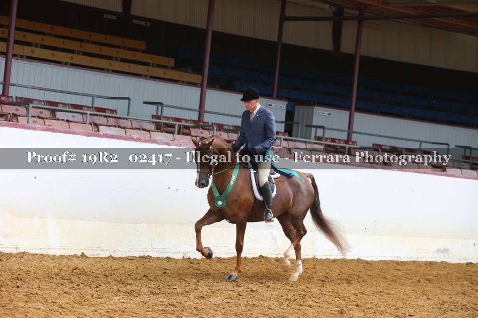 Proof Number 19R2_02417