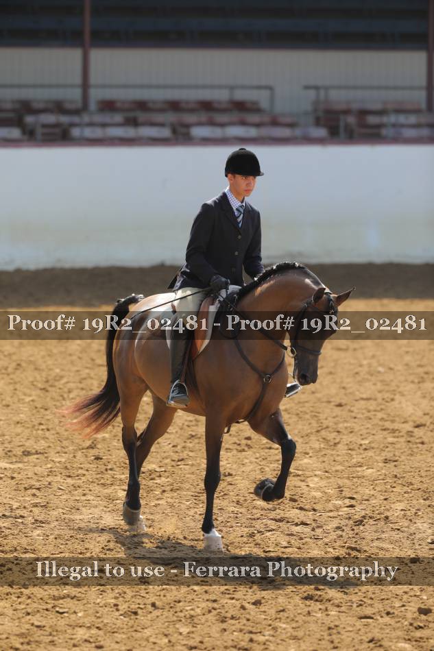Proof Number 19R2_02481