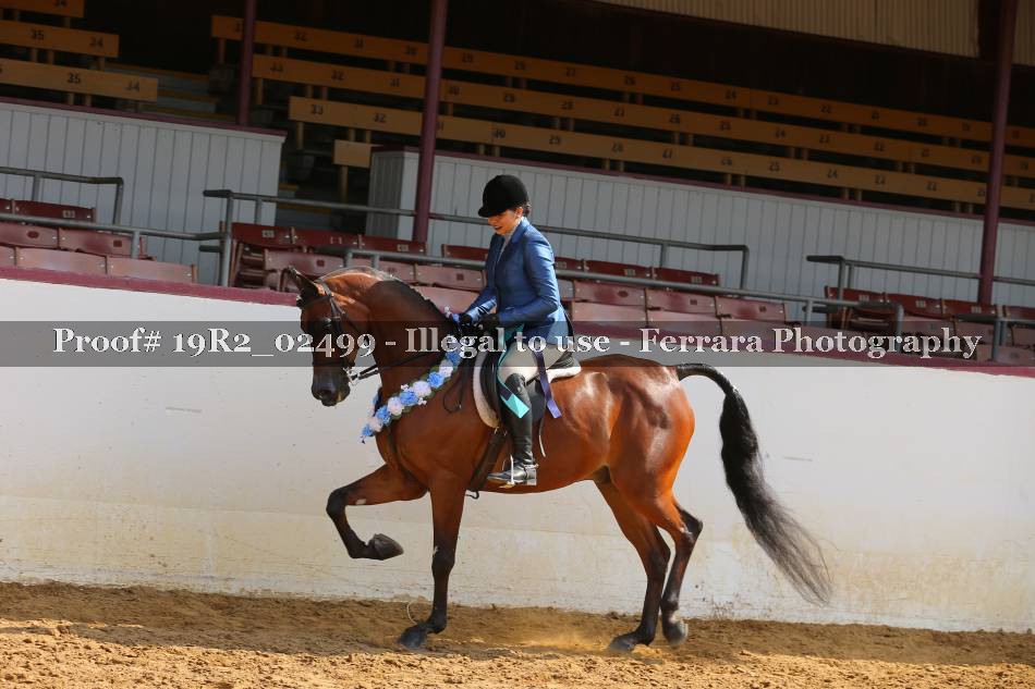 Proof Number 19R2_02499