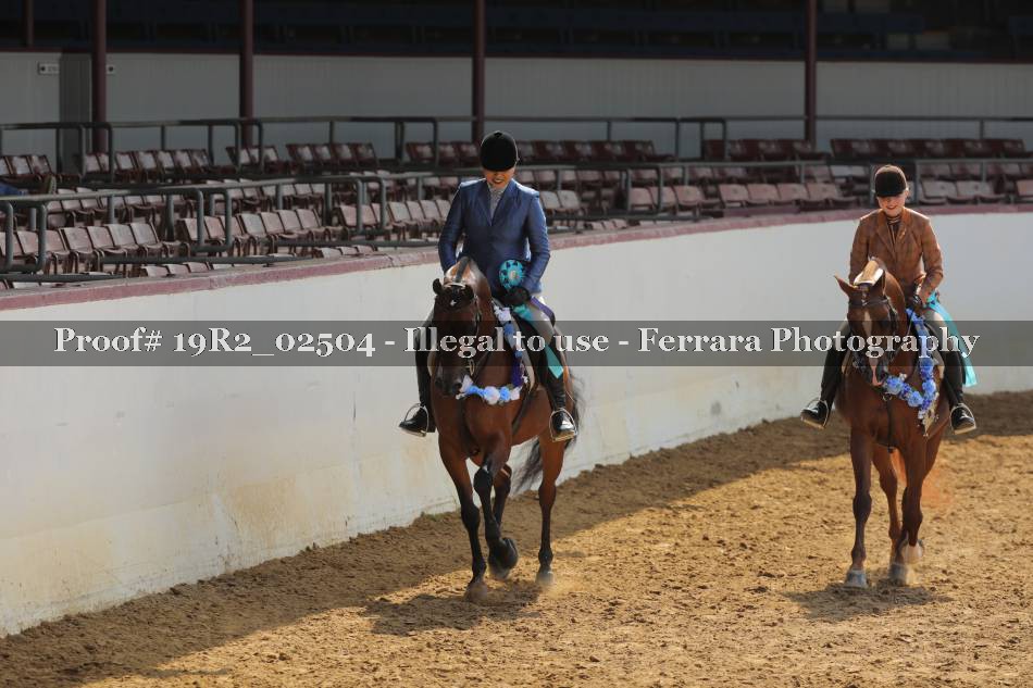 Proof Number 19R2_02504