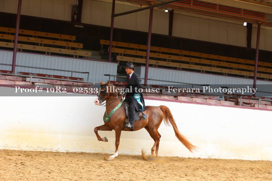 Proof Number 19R2_02533