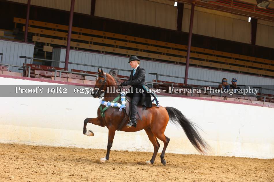 Proof Number 19R2_02537