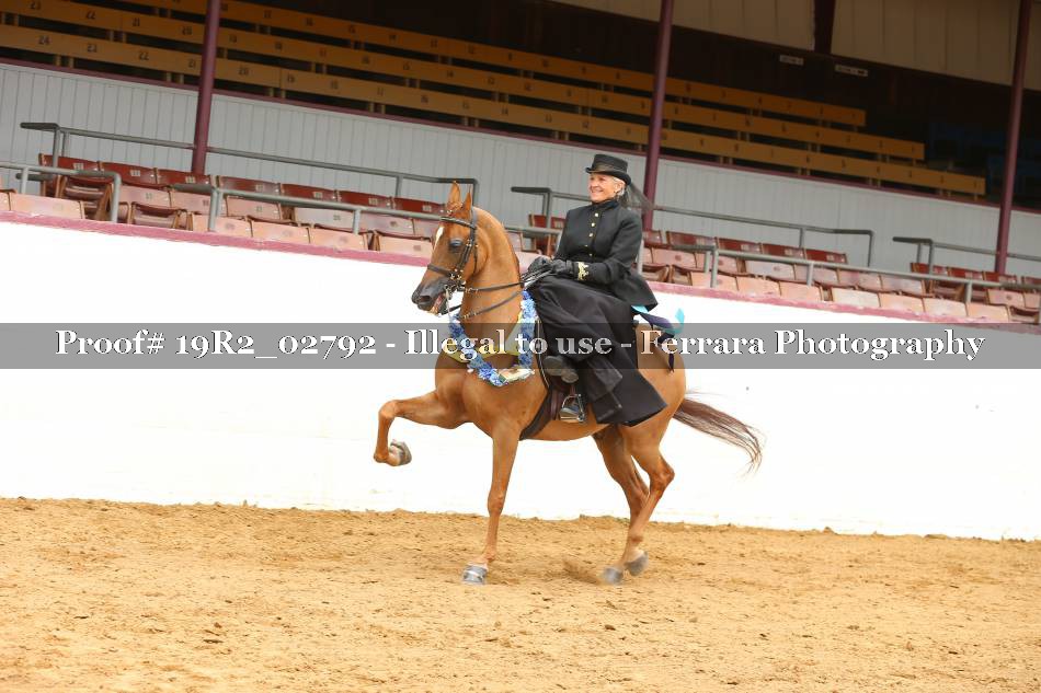 Proof Number 19R2_02792