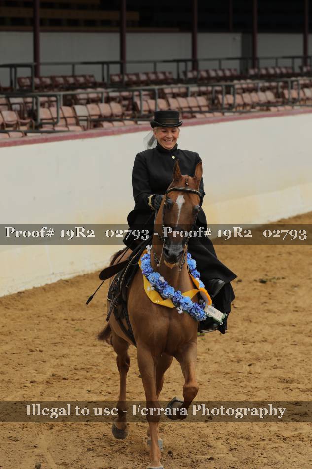 Proof Number 19R2_02793