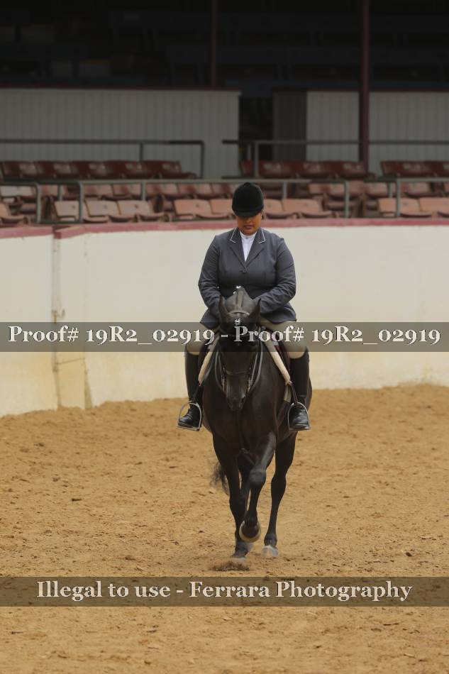 Proof Number 19R2_02919