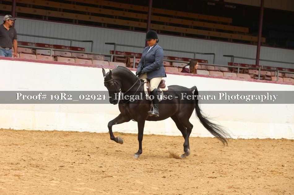 Proof Number 19R2_02921