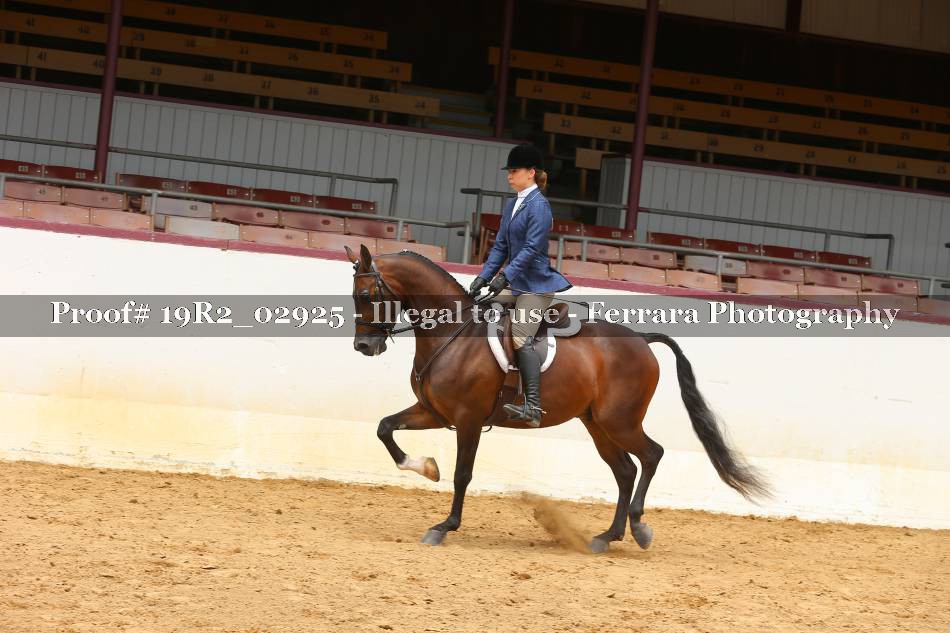 Proof Number 19R2_02925