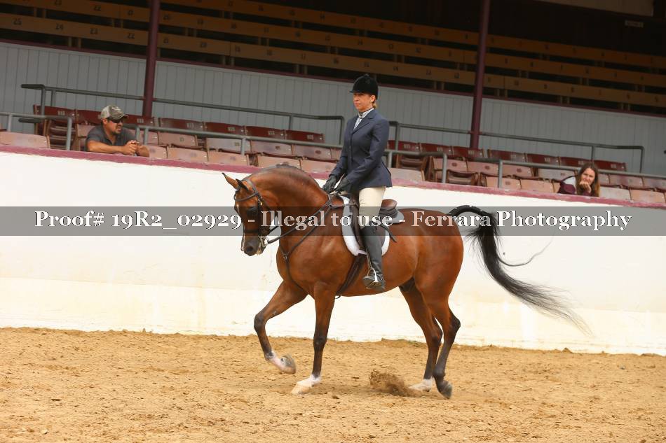 Proof Number 19R2_02929