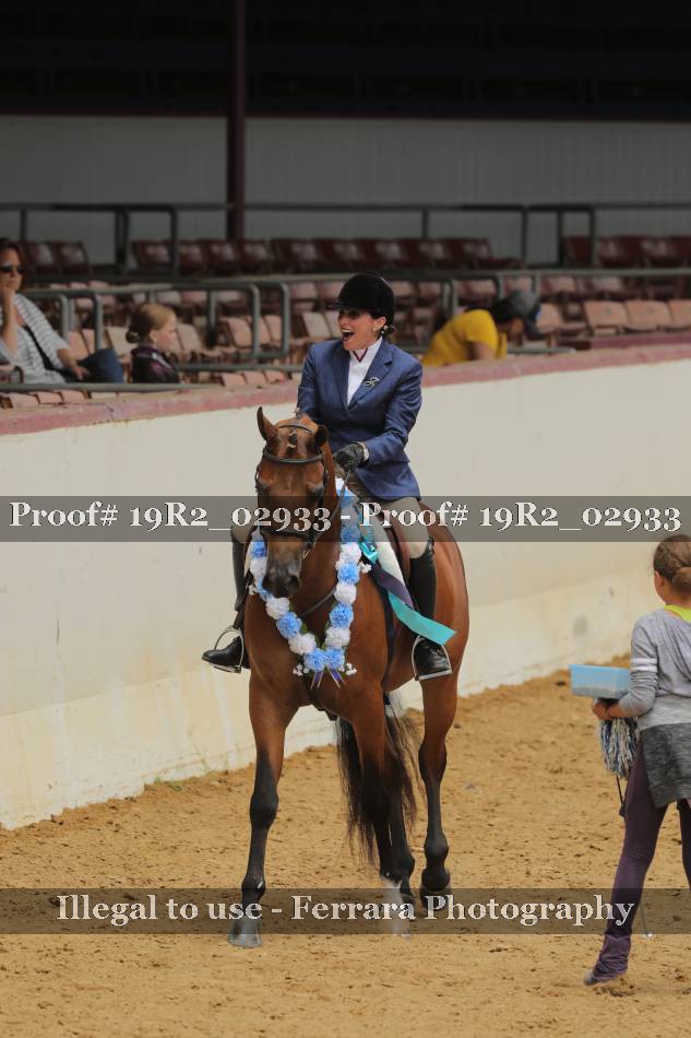 Proof Number 19R2_02933