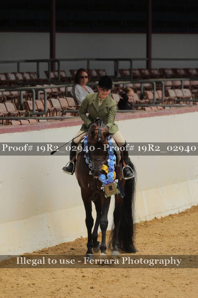 Proof Number 19R2_02940