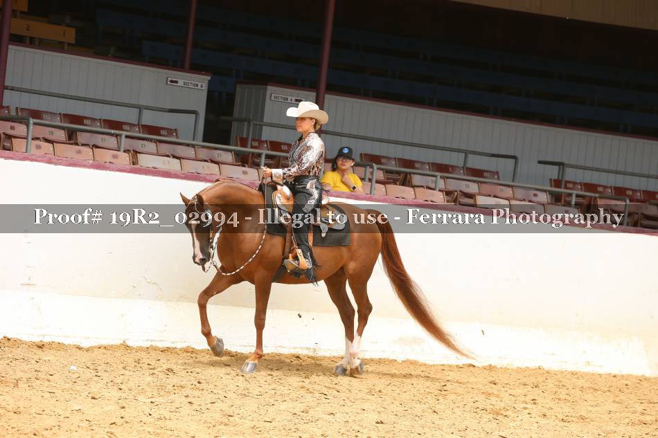 Proof Number 19R2_02994