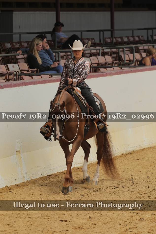 Proof Number 19R2_02996