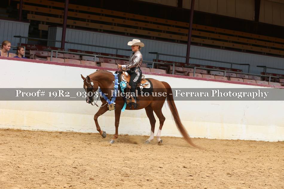 Proof Number 19R2_03031