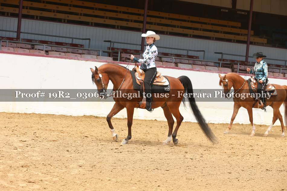 Proof Number 19R2_03065