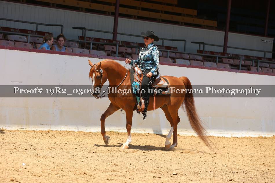 Proof Number 19R2_03098