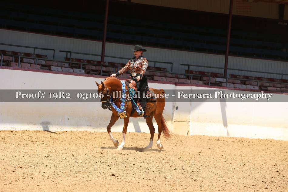Proof Number 19R2_03106