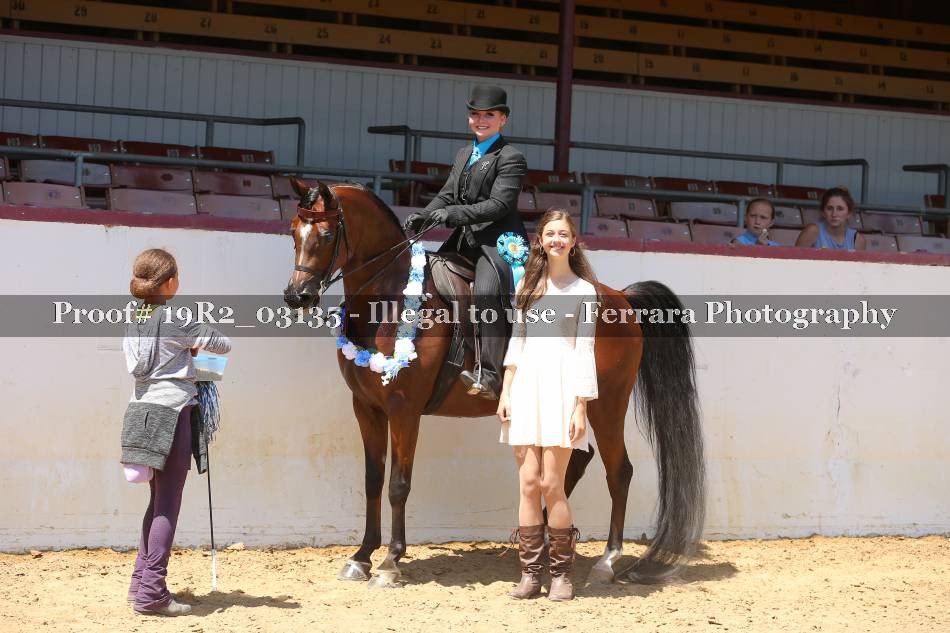 Proof Number 19R2_03135