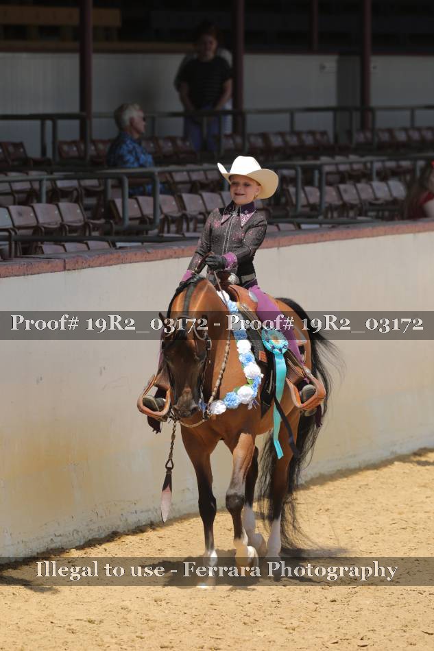 Proof Number 19R2_03172