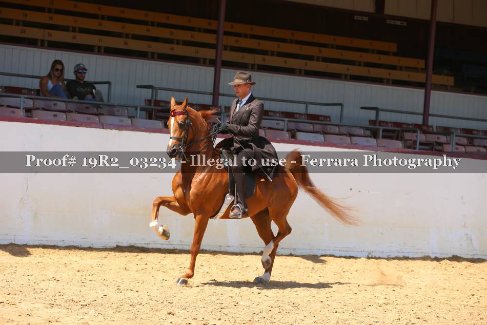 Proof Number 19R2_03234