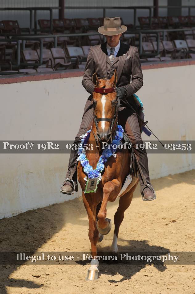 Proof Number 19R2_03253
