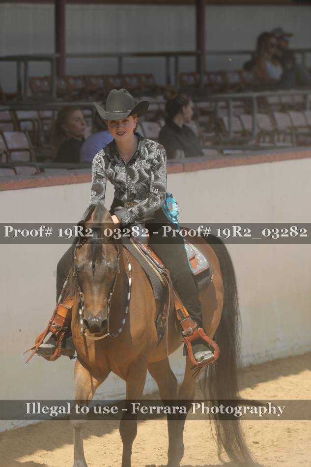Proof Number 19R2_03282