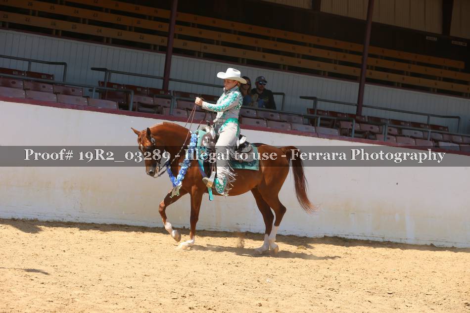 Proof Number 19R2_03289