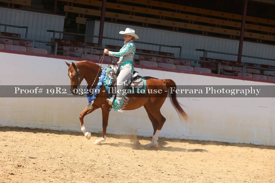 Proof Number 19R2_03290