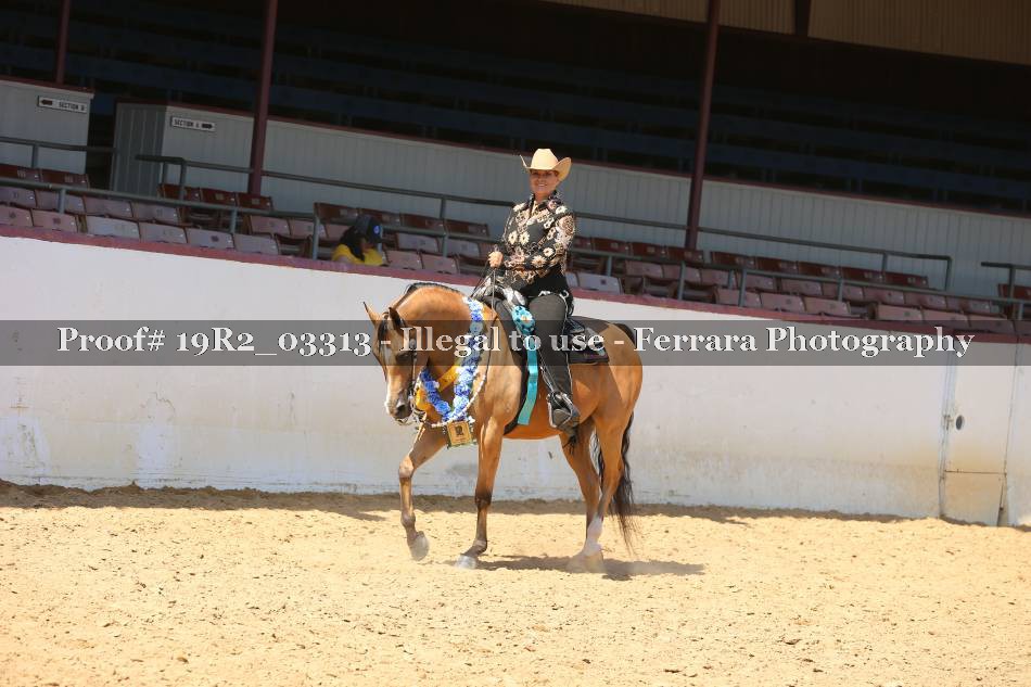 Proof Number 19R2_03313