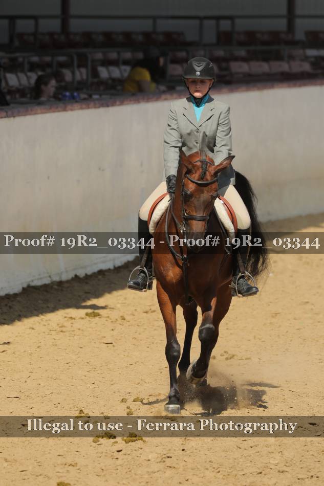 Proof Number 19R2_03344