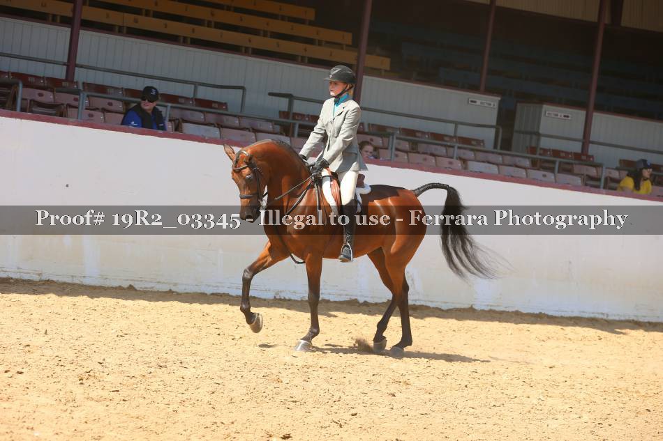 Proof Number 19R2_03345