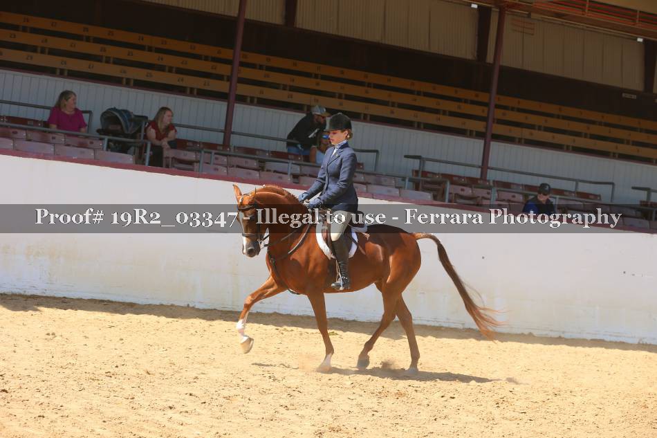 Proof Number 19R2_03347
