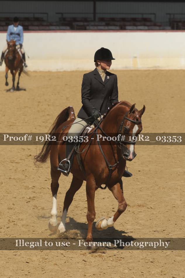 Proof Number 19R2_03353