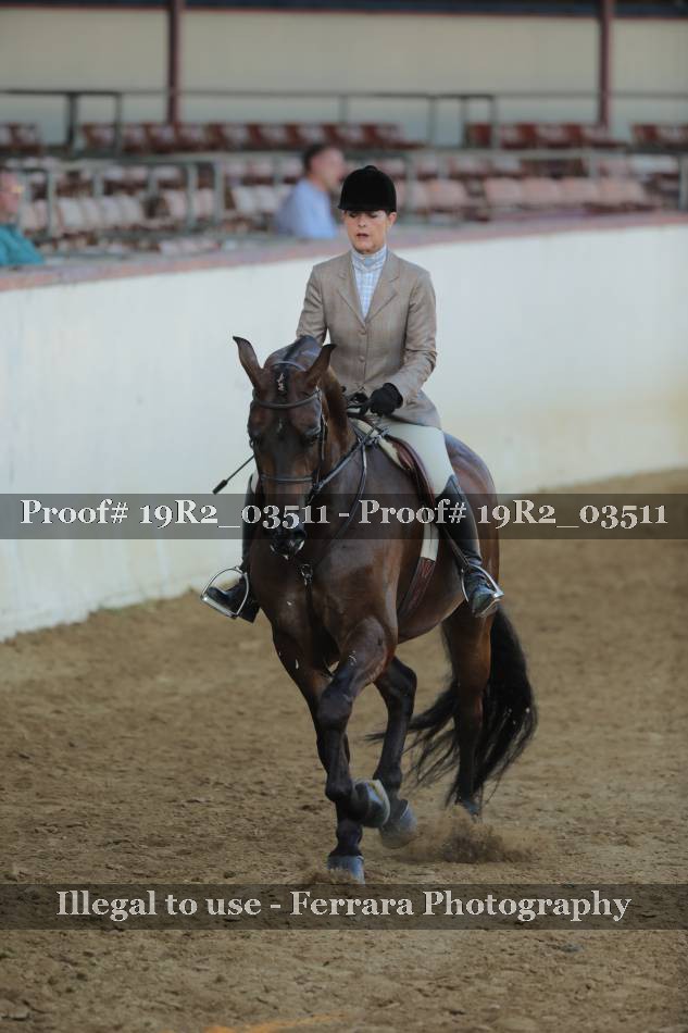 Proof Number 19R2_03511