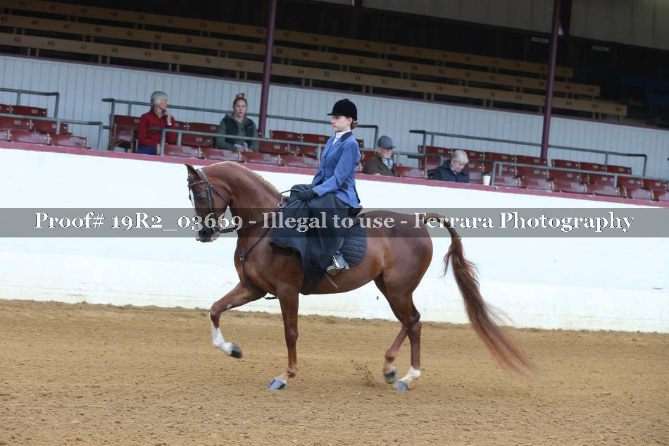 Proof Number 19R2_03669