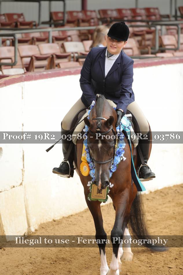 Proof Number 19R2_03786