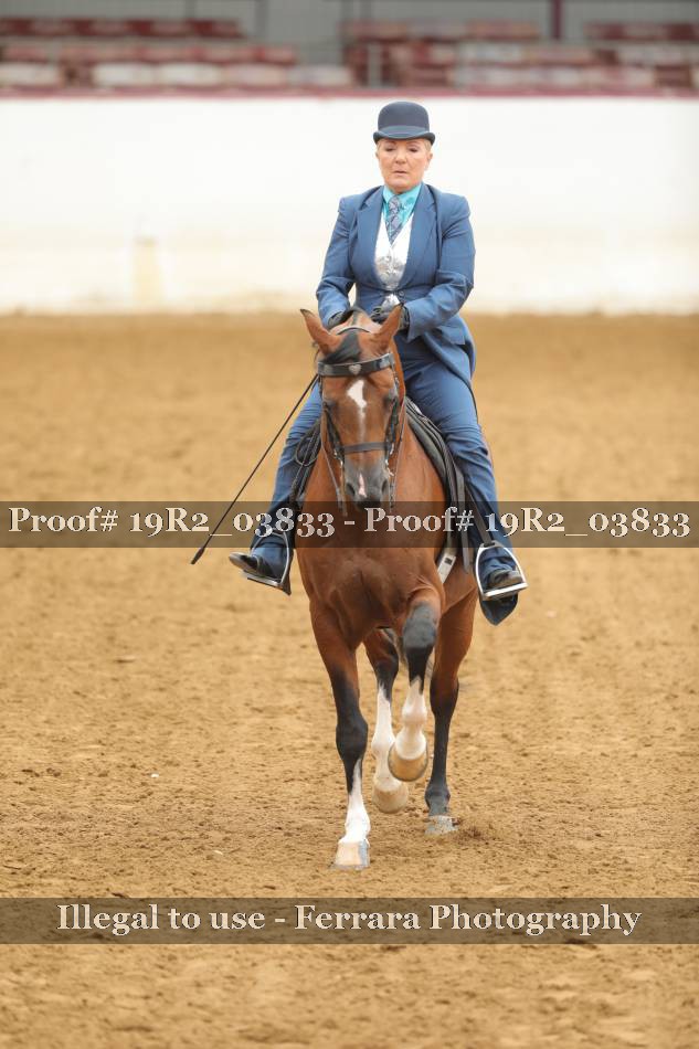 Proof Number 19R2_03833