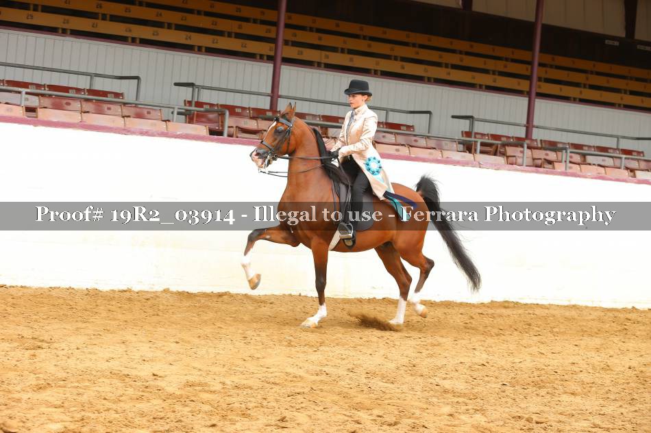 Proof Number 19R2_03914