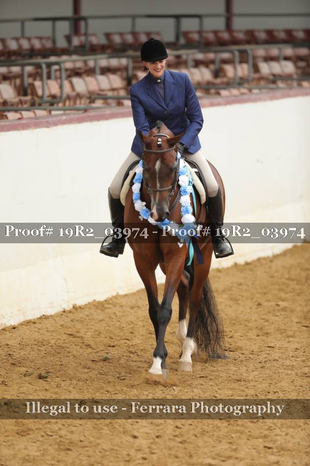 Proof Number 19R2_03974