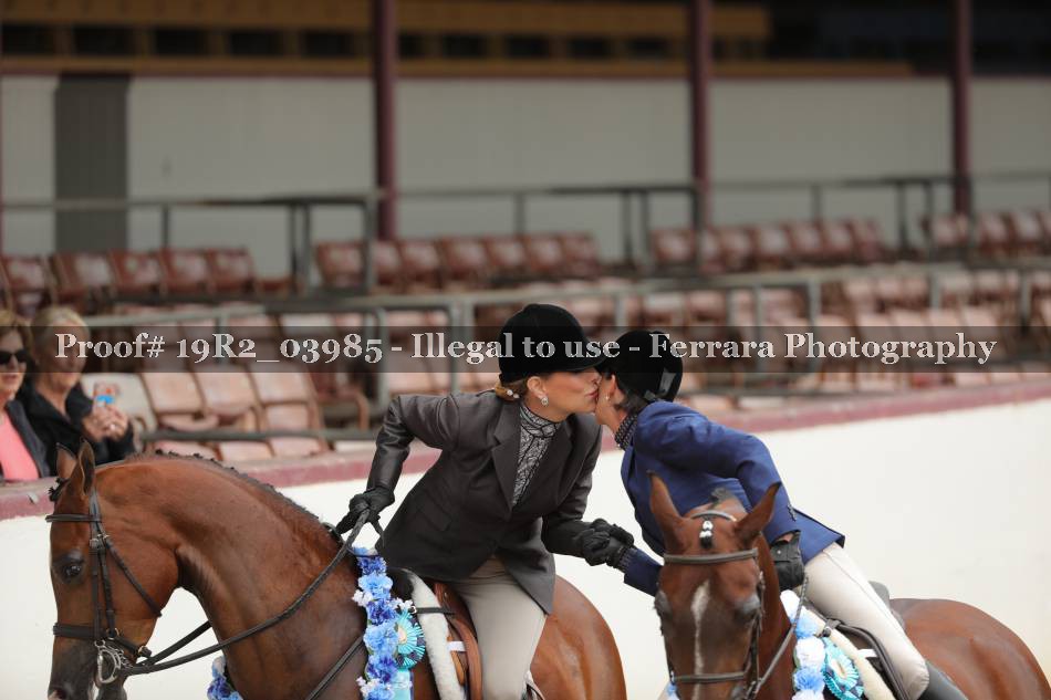 Proof Number 19R2_03985