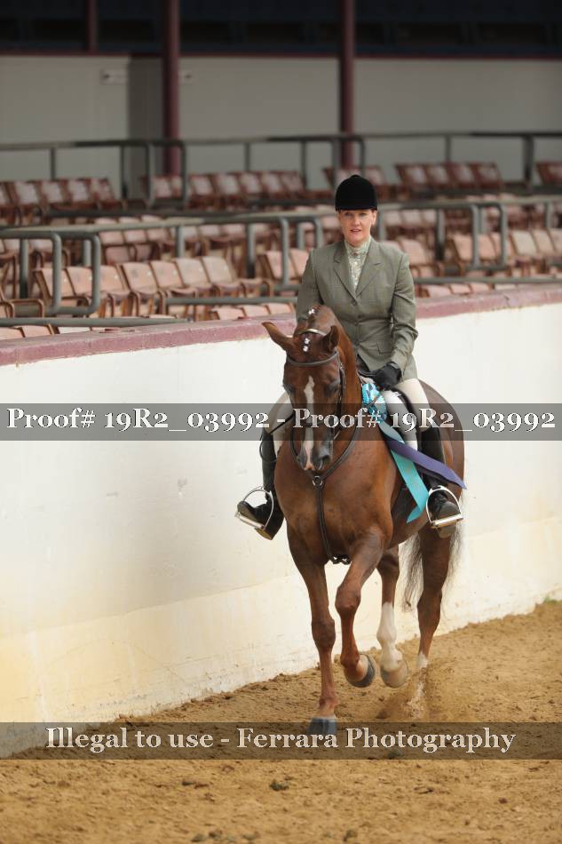 Proof Number 19R2_03992