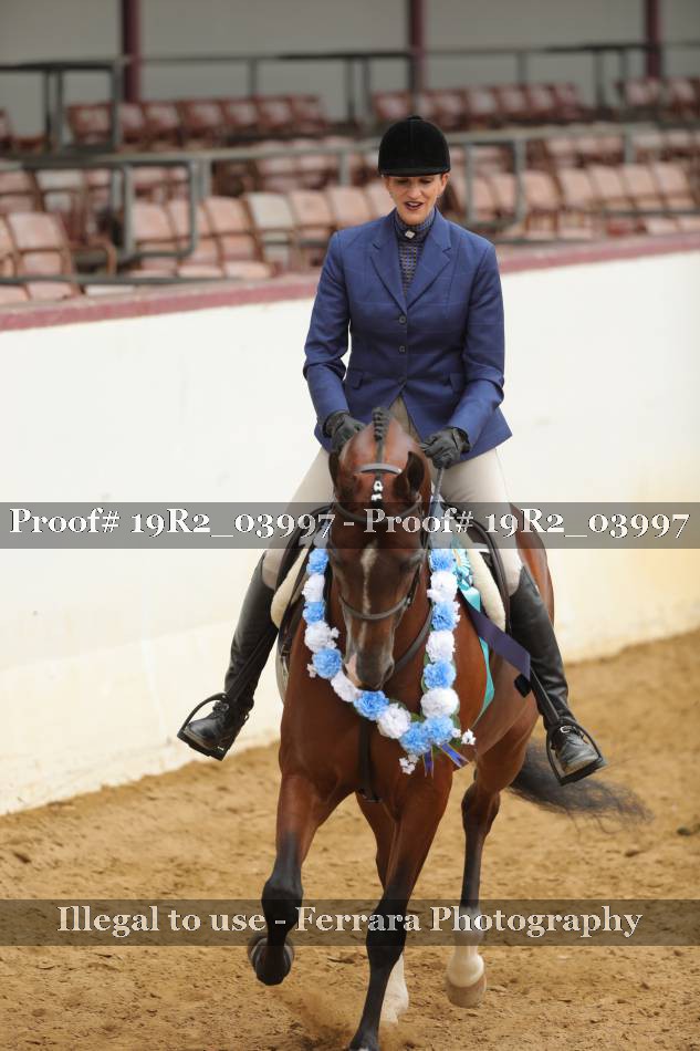 Proof Number 19R2_03997